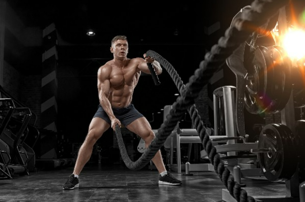 Reward: ACROSS CHAMPION MINI –  Γυμναστήριο PATRA FITNESS Πάτρα